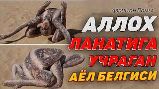 Аллох ланатига учраган аёл белгиси! °Абдуллох Домла 2023°Abdulloh Domla 2023° #abdullohdomla