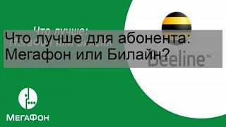 Что лучше для абонента: Мегафон или Билайн?