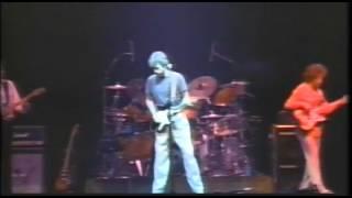 Eric Clapton - She's Waiting (Widescreen)