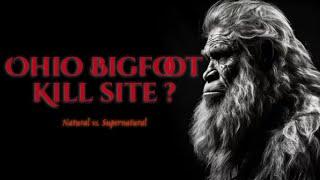 Ohio Bigfoot: A Potential Kill Site Discovered in the Wilderness