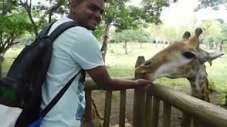 MAURITIUS CASELA PARK...ME WITH GIRAFFE