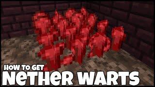 How To Get NETHER WARTS In MINECRAFT 1.21