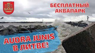 Литва. Шторм в Klaipėda. Audra Junis. Люди едут к морю #stormeunice