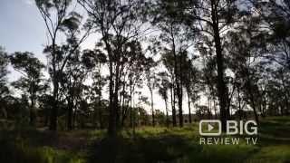 Winery | NSW | Vinden Estate | 2320 |Big Review TV | Platinum