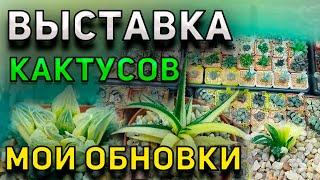 Выставка кактусов и суккулентов. Мои Новые Кактусы. Уход за кактусами.