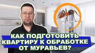 Как подготовить квартиру, офис, помещение к обработке от муравьев.