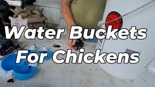 Setting up water buckets for our Chickens Using Lil Clucker Cups