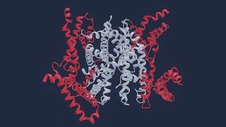 Voltage-Gated Sodium Channel - Structure, Gating, Activation & Inactivation - Animation