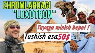 Piramidalardagi LOXOTRON, ehtoyot bo'lgan yaxshiroq! Misr ehromlari, Qohira 2-kun/ Миср каир саехат