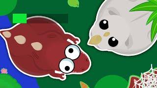 *RARE* White Rhino is the BEST animal in MOPE.IO