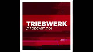 ►1 Triebwerk Podcast w/ Tim Horn