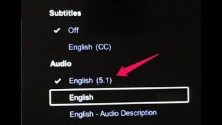 Solution for Netflix that can't adjust volume