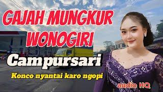 WONOGIRI GAJAH MUNGKUR CAMPURSARI PALING ENAK ,AUDIO JERNIH 2024