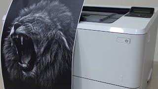 HP Laserjet pro M402dn شرح لقوه و اداء