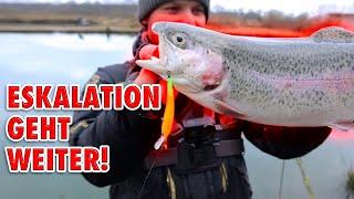 Eskalation am Forellenteich Part 2 | Forellenangeln im Winter | Patricks Angelteiche