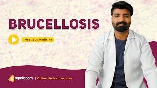 Brucellosis | Infectious Medicine Lectures | Medical Education | V-Learning | sqadia.com