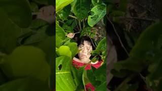 Cặp đôi hài hước 