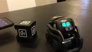 Anki Vector Setup & Interaction