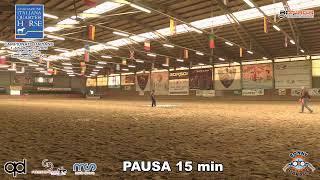 Live stream di Bonaga Communication