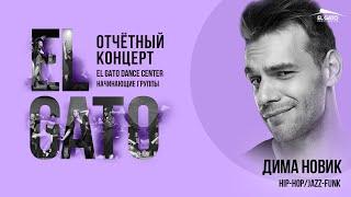 El Gato DC Summer 2021 Concert | Dima Novik | Beginners Group