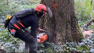 Abattages d’arbres Stihl ms 500i