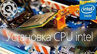  [F.A.Q] Как установить процессор Intel правильно -/- How to install CPU Intel