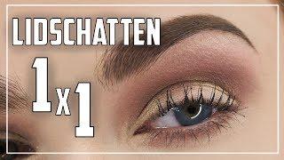 SO klappt es mit dem Lidschatten! - Anfänger Guide | Lidschatten Tutorial Deutsch | Judy R.