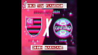 Hoje tem Flamengo x Grêmio, onde assistir escalação arbitragem #flamengo