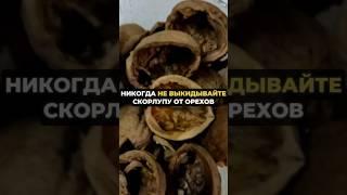 Никогда не выкидывайте скорлупу от орех #огород #дача #рецепт #сад