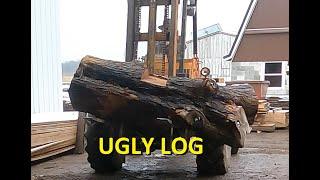 Ugliest Maple Log on the sawmill