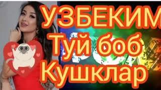 ТУЙ БОБ ШУХ КУШКЛАР