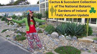 Cactus & Succulent Collection of The National Botanic Gardens of Ireland Fall/Autumn Update #cactus