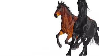 Lil Nas X - Old Town Road (feat. Billy Ray Cyrus) [Remix]    [1 hour]