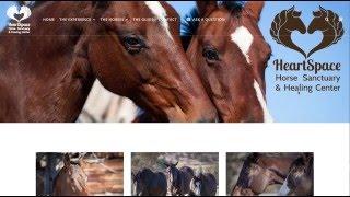 [CASE STUDY: AFTER] *HORSE SANCTUARY* (WEBSITE DESIGN)