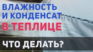 Влажность и конденсат в теплице  Из за чего появляется и как избавиться?