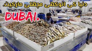 Dubai fish market vlog || machli market Dubai || biggest fish market of Dubai waterfront by vlogs pk