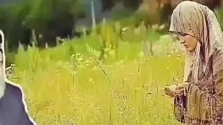 Дуои Модар