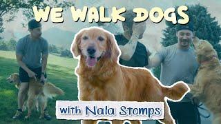 Nala Stomps Teaches Me How To Stomp | WeWalkDogs