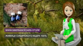 ЖИВИЦА СИБИРСКОГО КЕДРА 100%, 30 МЛ. - СИБИРСКИЙ КЕДР И ЖИВИЦА