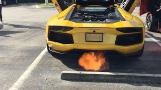 Lamborghini Aventador Twin Turbo by DLM / Doug Levin Motorsports Startup, Revs, Flames, 30-160 MPH