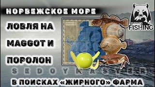 Норвежское море / в поисках жирного фарма / Русская Рыбалка 4 / РР4 фарм