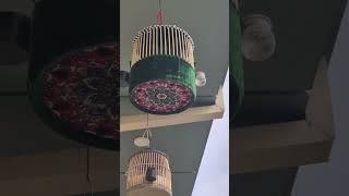 ЭШИТИБ МАЗА КИЛИЛАР ЗОРЛАРИ