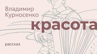 «Красота». Рассказ Владимира Курносенко