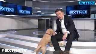 Furry Friend! Billy Brings His Puppy Ollie to Work