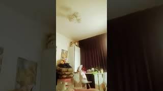 вппрр род эмоаккаунт
