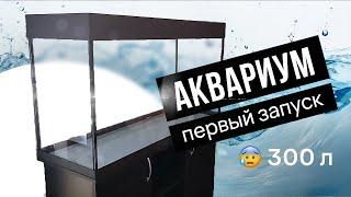 Первый запуск аквариума 300 литров