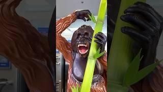 Chocolate Orangutan!  This is the first voice-over video of one my creations.  #amauryguichon