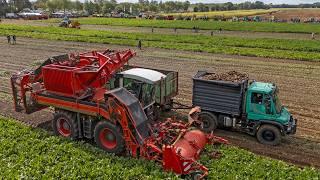 Youngtimer Feldtag | Mais & Rübenernte, Bodenbearbeitung | MB Trac, Unimog, JD, IH & mehr!