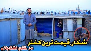 باخت 30 کفتر در یک روز|شکار جانانه، در ختم کفتربازی|شوق با کمیل جان در وزیر آباد|High-flyer Pigeons