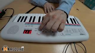 Yamaha PSS E-30 Remie Обзор (Overview), Демонстрация (Demonstration) children's synthesizer